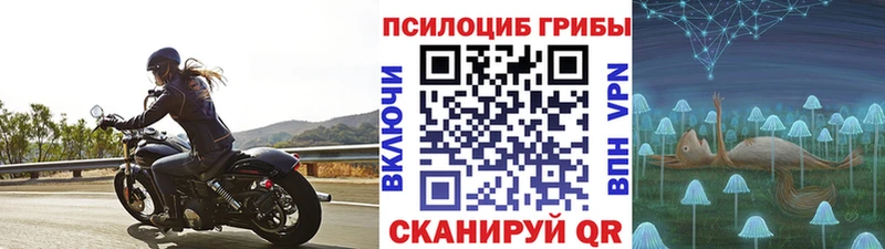 Псилоцибиновые грибы Psilocybine cubensis  продажа наркотиков  блэк спрут онион  Новый Оскол 